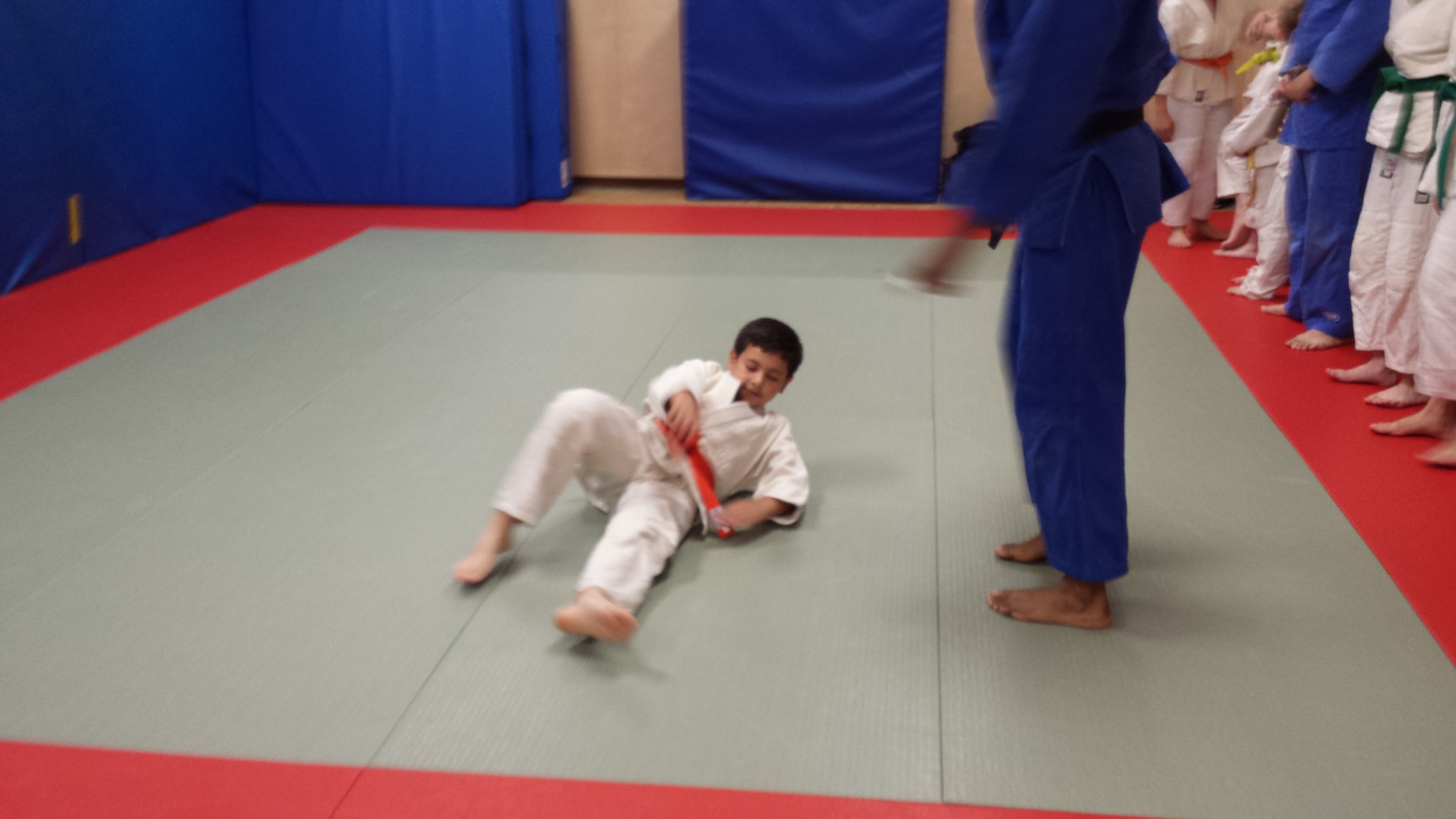Judo roll out